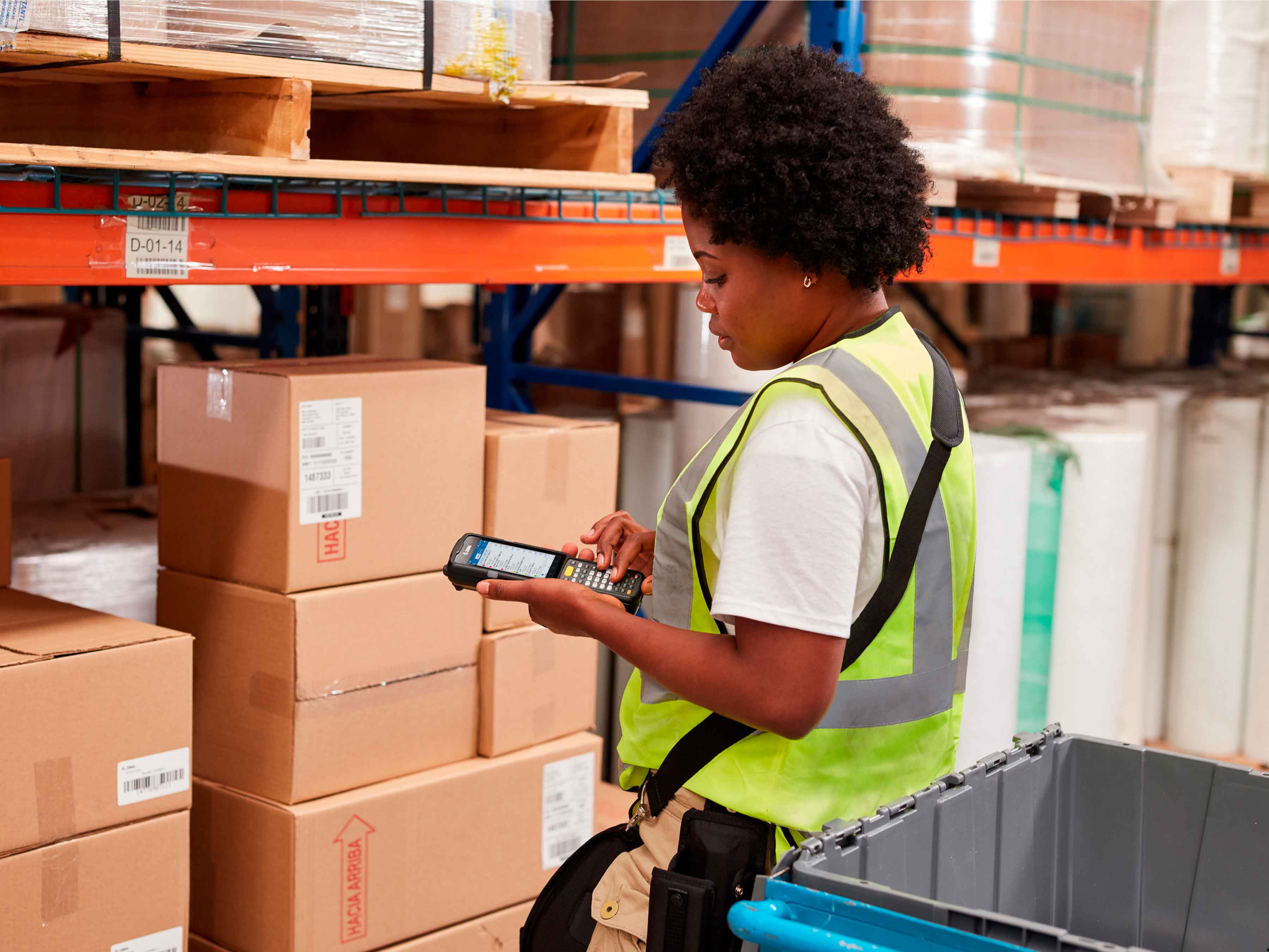 Zebra Image, Photography Website, Software, Warehouse Mobile Computer Transport, 4x3, 3600