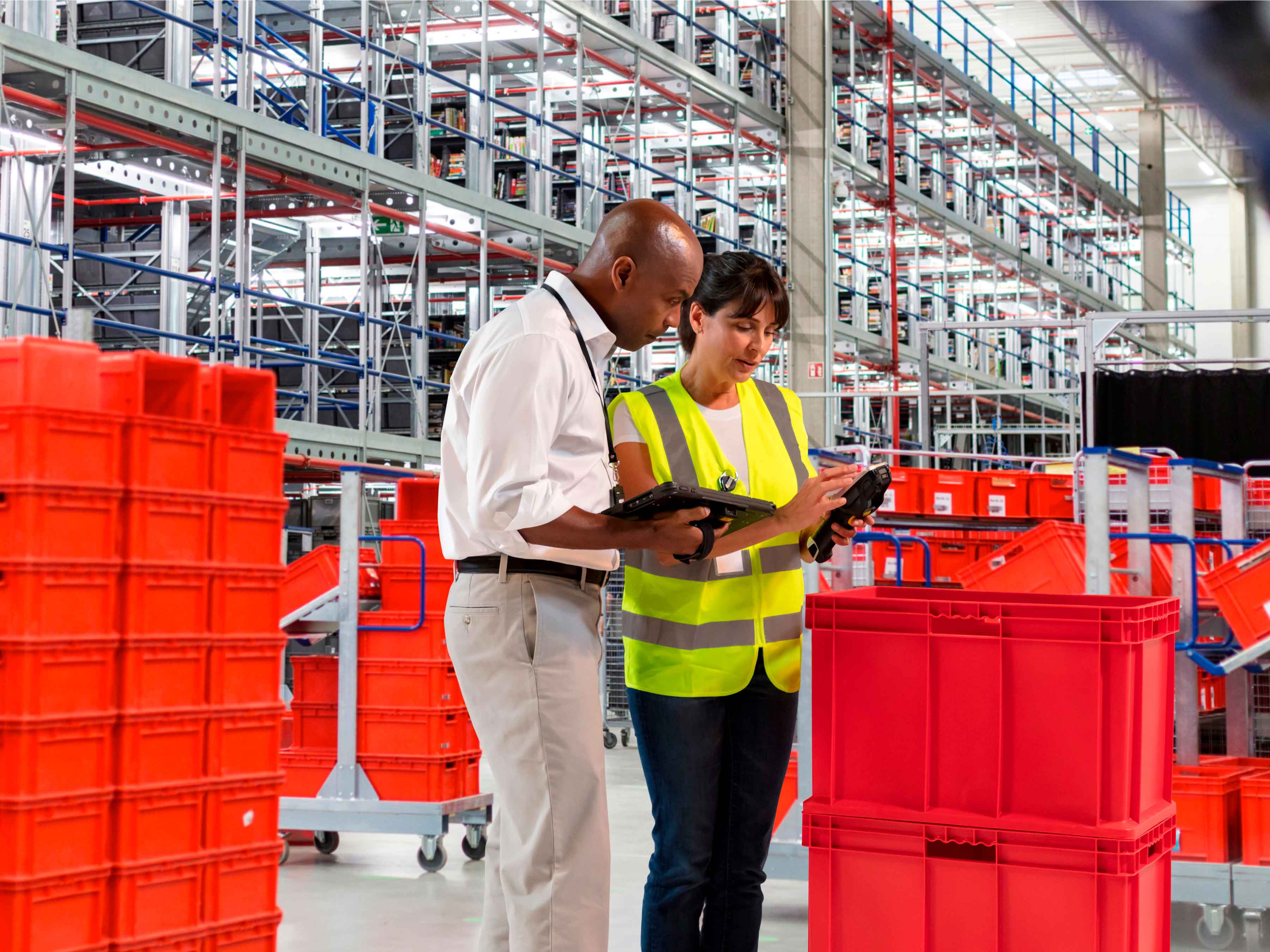 Zebra Image, Photography Website, Warehouse Employee Management, 4x3, 3600
